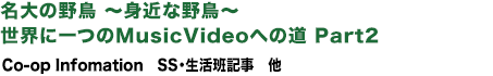 内容紹介