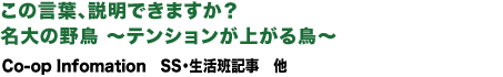 内容紹介