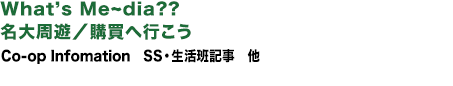 内容紹介