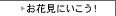 �C���[�W