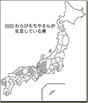 �C���[�W