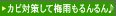 �C���[�W