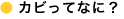 �C���[�W