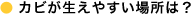 �C���[�W