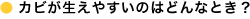 �C���[�W
