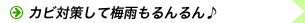 �C���[�W