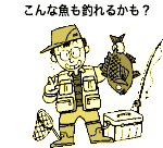 C[W