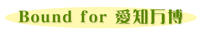 �C���[�W