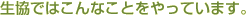 �C���[�W