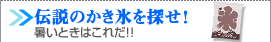 `̂XTI