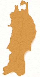 ݂̂tFA