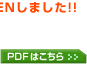 PDF�͂�����